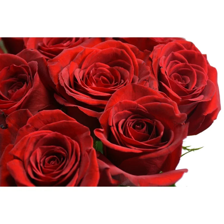 Dozen Red roses $55