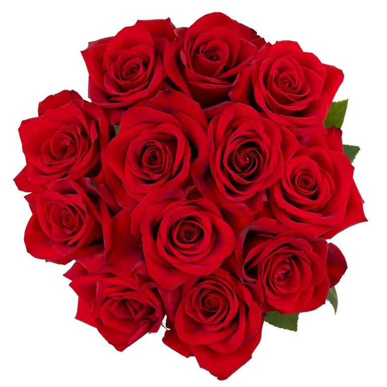 Dozen Red roses $55
