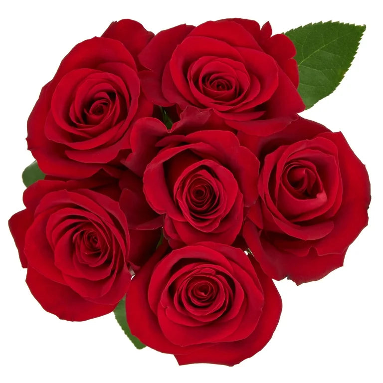Red roses 6 stem